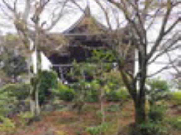 京都にお花見＆寺巡りに行ってきました②