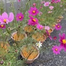 高卒認定試験もうすぐ