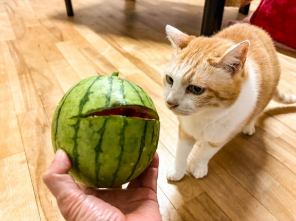 笑う小玉