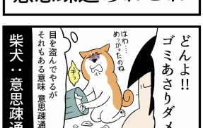 犬・猫・うちう猫で「意思疎通レベル」が全然違う