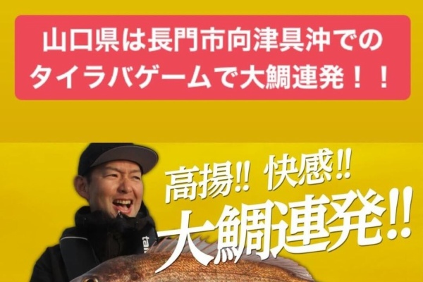テイルウォーク開発日記 22