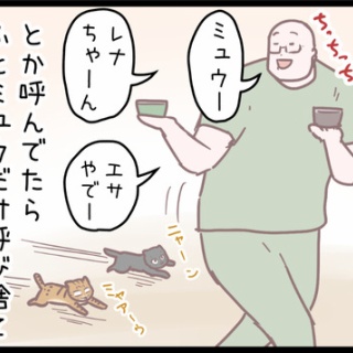 ネコ飼いの飼いネコまんが ねこボイ