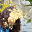 おくわえ♡