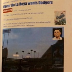    フシ穴の眼 〜スポーツ疾風怒濤編〜