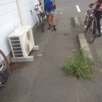 それでも強く逝きて行く？