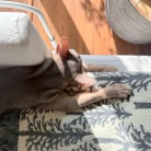 寝相がひどい、ひどすぎる(๑¯◡¯๑)