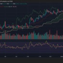 驚異の踏ん張り！？