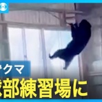 なんJやきう関係ない部@おんJ