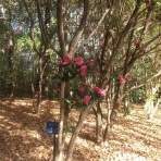 意識改革最前線の日々