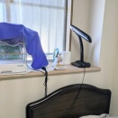 困った巣材を持ち込む文鳥