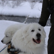 【日々の暮らし】オセロ撮影とこだわりと！
