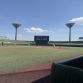 ゴールデンウイークのオフの日は高校野球と六大学野球でした