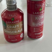 おにぎり1個よりも低カロリー、低糖質の 揚げ物おかず！！　ラカントヘルシーレシピ　7月更新しました♪
