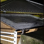 きのこ好き　うらしもじ