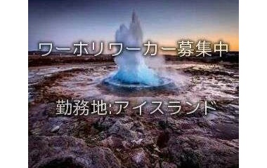 『アイスランドワーホリ求人情報』の画像