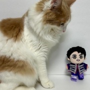 郷ひろみさんのお誕生日です～♪