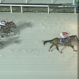 ☆うまなみ・競馬にゅーす速報