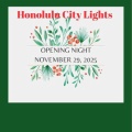 ★今年、早くない？〜Honolulu City Lights 〜