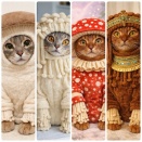 AIで、猫がキノコになるのやってみた。