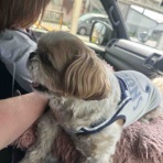 Hide san 色々日記