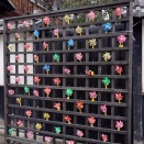滋賀県へ行ってきました！