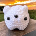 【あの子】マジックキャット、本日22時！【どんな子】