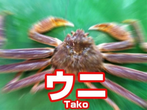 【画像】スーパーの『毛ガニ売り場のカニ』、ラップを破って集団大脱走！　→　お前らの想像の80倍以上、壮絶なカニまみれの大惨事にｗｗｗｗｗｗ