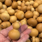 藤倉商店三代目の店長日記