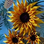 Hawaiiはやっぱり★Paradiseのblog