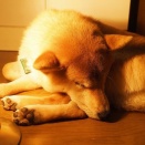 風太の日記！　2月24日