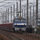 2026年4月30日　今朝の写真　早朝の赤ホキ