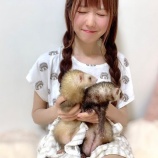 『[ぺット愛Vol.21] 大谷映美里（=LOVE）× フェレットのバタ子、シナモン｜バタ子とシナモンがいなきゃ毎日を過ごせない - 音楽ナタリー【動画あり】【イコラブ、みりにゃ】』の画像