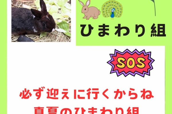 Rabbit様　ご確認用ページです もっと虫よけエリアスマイル® 180日 Sうさぎ｜株式会社ペッツルート