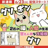 初対面の子に明日の予定を聞かれた話