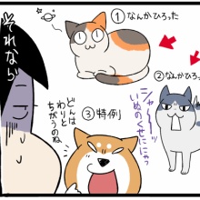 柴犬どんぐり三毛猫たんぽぽ Powered by ライブドアブログ
