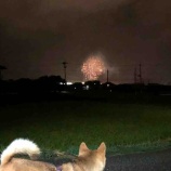 『デカンショも終わりました(^^)』の画像