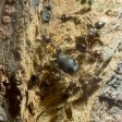 撮影してて「おぉ！？」となった生き物動画
