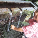 寺子こどもえん活動日記