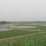 『朝から台風に伴う雨が降り続いています』の画像