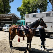 「あれ？こっちじゃなかったかな」じゃなくて。