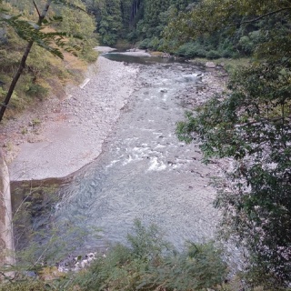 つり吉オヤジの日高川龍神鮎・あまご情報