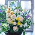 卒業式の花束オーダー受付中