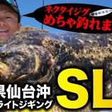 『９月５日　ハヤブサ取材記事　YouTubeです！！　アメブロにブログは移動しています。』の画像