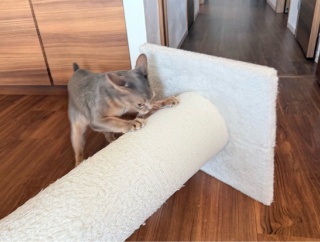 爪とぎを倒して使う技を見つけた