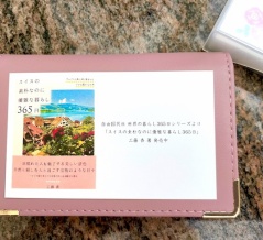 新調したものと、エッセイ「スイスの素朴なのに優雅な暮らし365日」