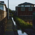 【衝撃】住宅街の用水路に『とんでもない物』が大量に出現してしまう！！！！！