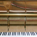 しまなみpianoのblog