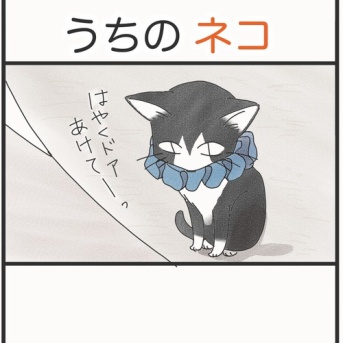 うちの、ネコ