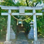 00shizuoka静岡観光おでかけガイド