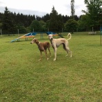 Ultra めい・シェリ・カイworld !